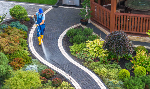 Best Roof Power Washing Services  in Beach, ND